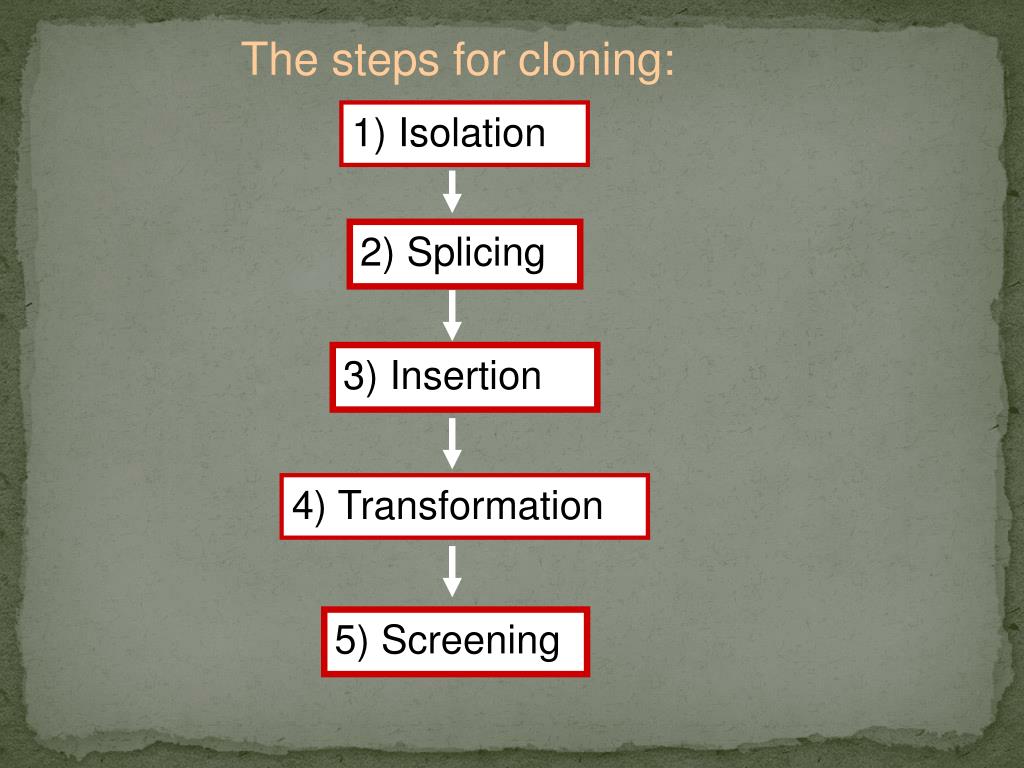 PPT Methods in Gene Cloning PowerPoint Presentation, free download ID3902597