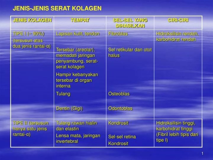 PPT JENISJENIS SERAT KOLAGEN PowerPoint Presentation, free download