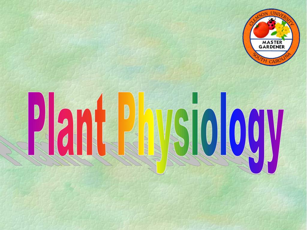 PPT Plant Physiology PowerPoint Presentation, free download ID3904801