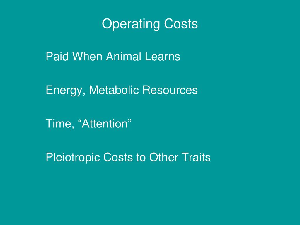PPT Costs of Learning PowerPoint Presentation, free download ID3907376