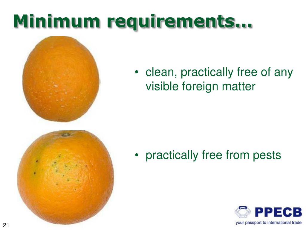 PPT UNECE Citrus Standard Cape Town 2021 April 2010 PowerPoint