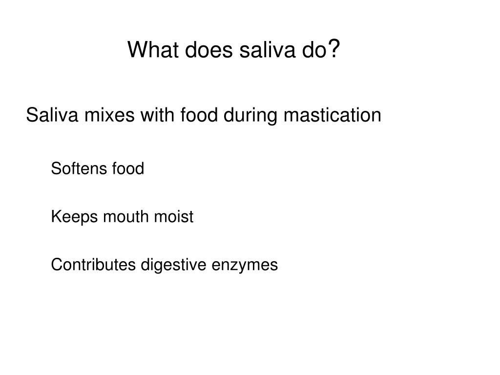 PPT Unit 14 The Mouth and Salivary Glands PowerPoint Presentation
