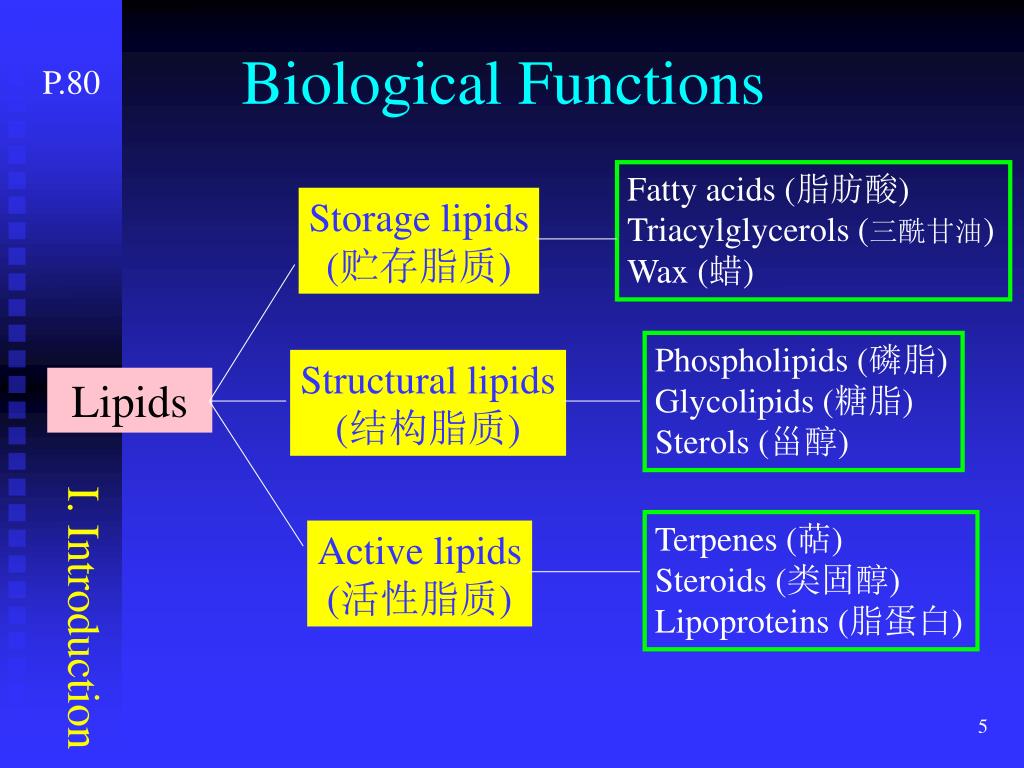 PPT Chapter 3. Lipids PowerPoint Presentation, free download ID3925344