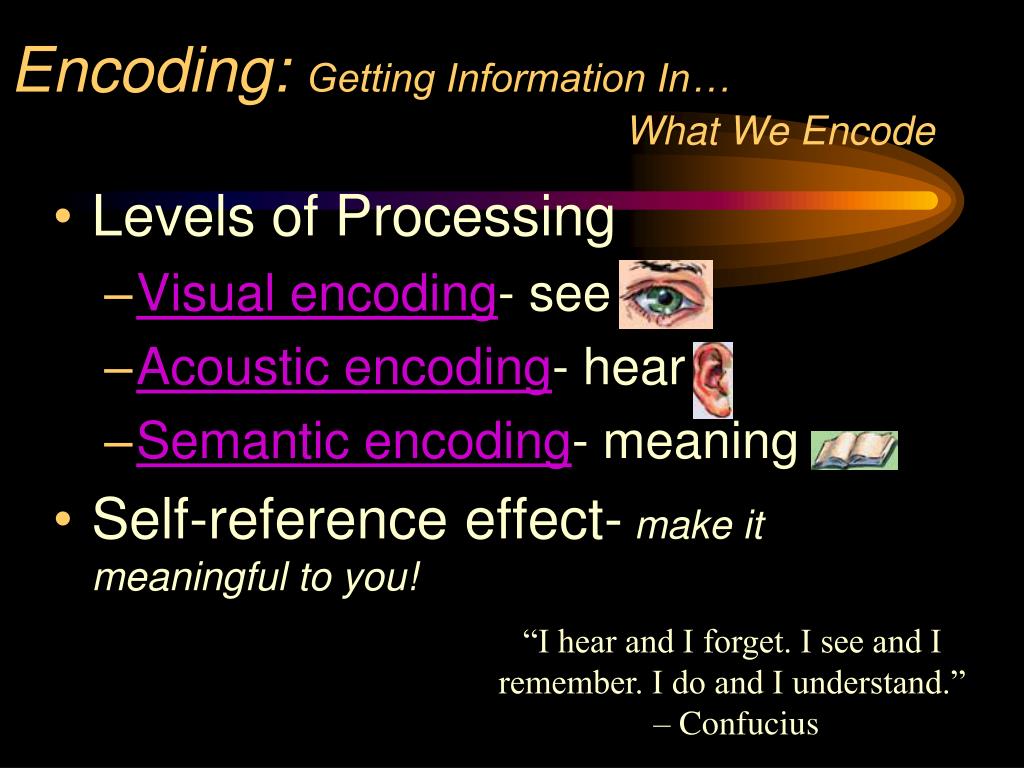 PPT Memory PowerPoint Presentation, free download ID3925882