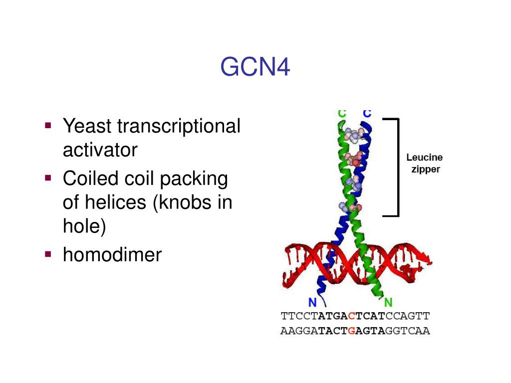 PPT Protein Nucleic Acid Interactions PowerPoint Presentation, free