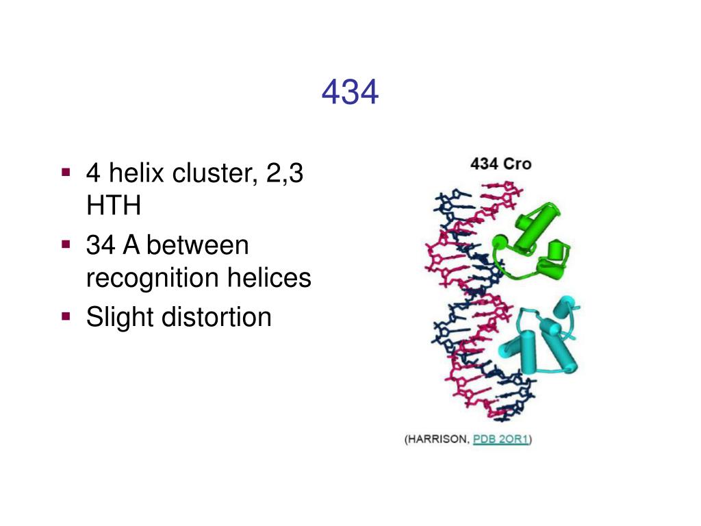 PPT Protein Nucleic Acid Interactions PowerPoint Presentation, free
