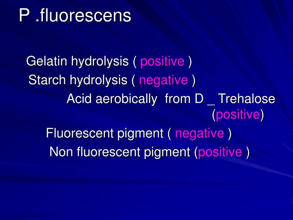 PPT Pseudomonas Identification PowerPoint Presentation, free download ID3930059