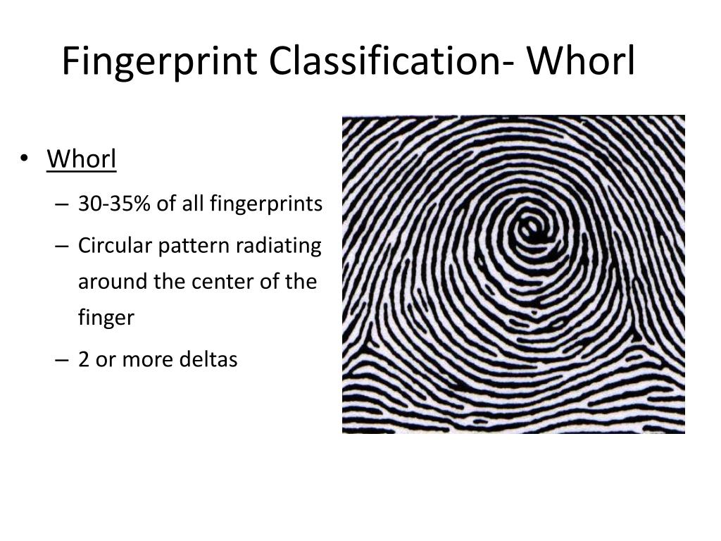 PPT Fingerprints PowerPoint Presentation, free download ID3930838