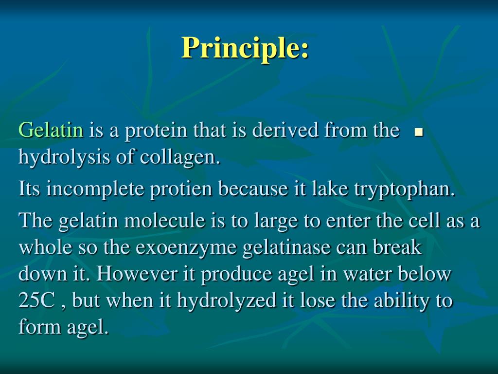PPT GELATIN LIQUEFACTION TEST PowerPoint Presentation, free download