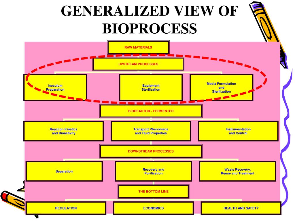 PPT ERT 416/3 CHAPTER 7 UPSTREAM PROCESSING IN BIOPROCESS PLANT