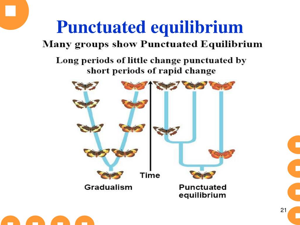 PPT Lesson 9 the origin of species PowerPoint Presentation, free