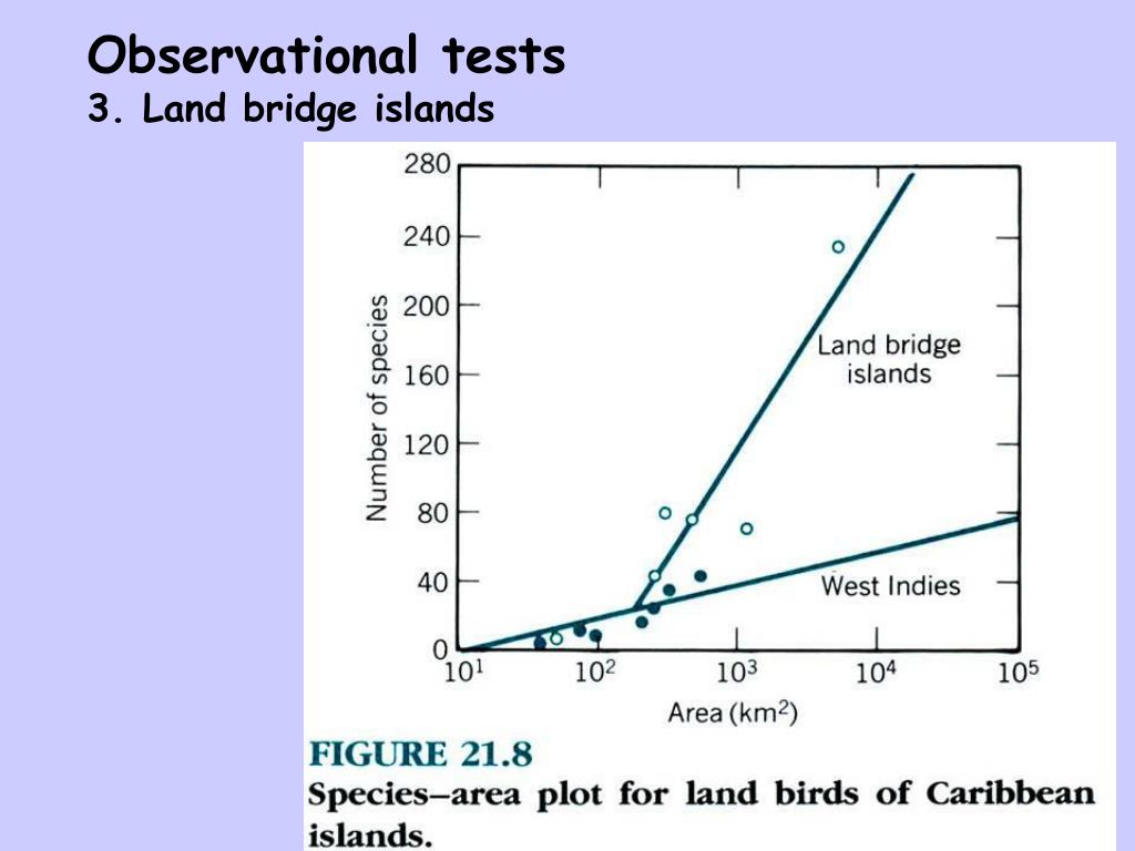 PPT Island Biology & The equilibrium theory of island biogeography