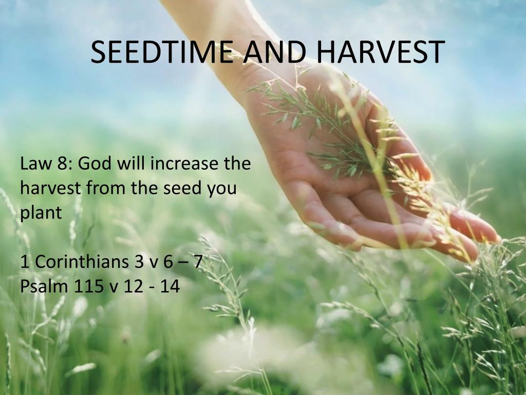 PPT SEEDTIME AND HARVEST PowerPoint Presentation, free download ID