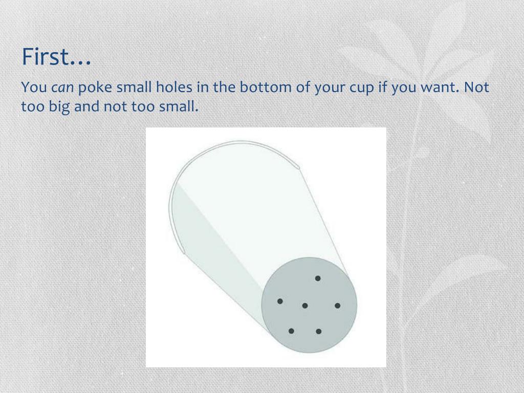 PPT How to plant a flower in a cup/pot PowerPoint Presentation, free