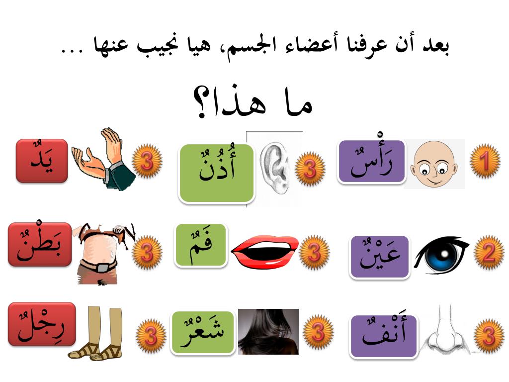 23+ Gambar Media Pembelajaran Bahasa Arab Background