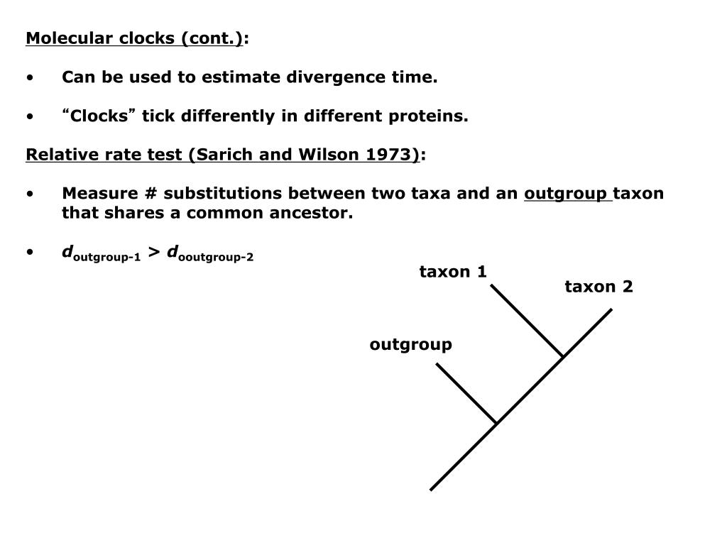 PPT Chapter 23 Molecular evolution Types of questions