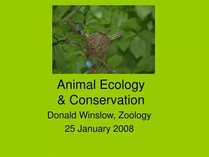 PPT Animal Ecology & Conservation PowerPoint Presentation, free