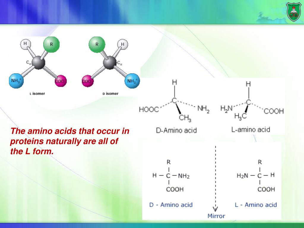 PPT Amino acids PowerPoint Presentation, free download ID3960157