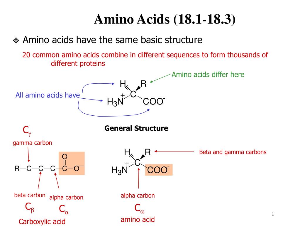 PPT Amino Acids (18.118.3) PowerPoint Presentation, free download