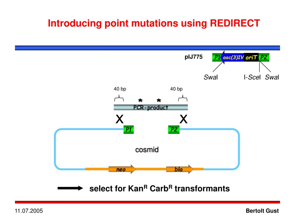 PPT Lambda RED PowerPoint Presentation, free download