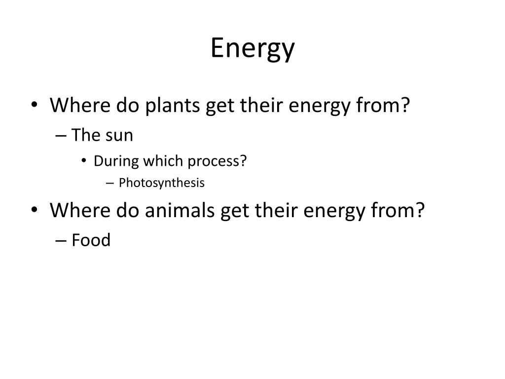 PPT Photosynthesis, Cellular Respiration, & ATP PowerPoint