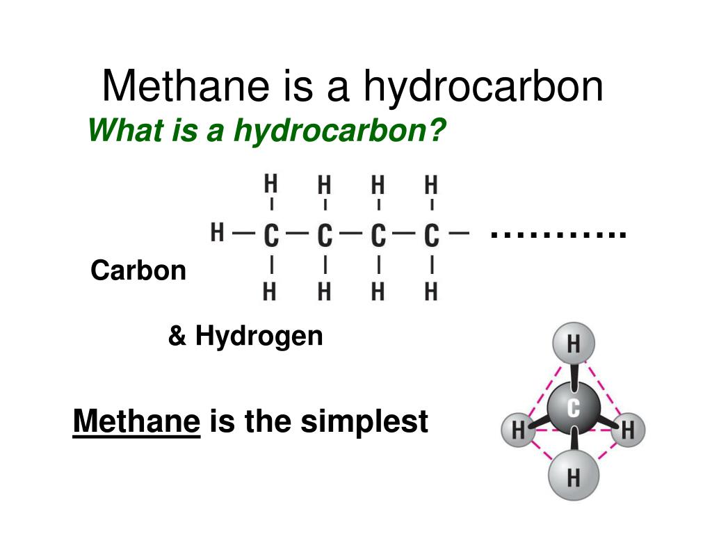 PPT Molecules of Life PowerPoint Presentation ID3961228