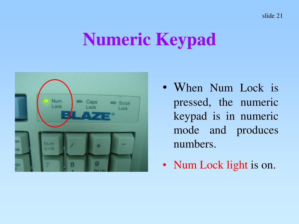 PPT Input Devices PowerPoint Presentation, free download ID3962949