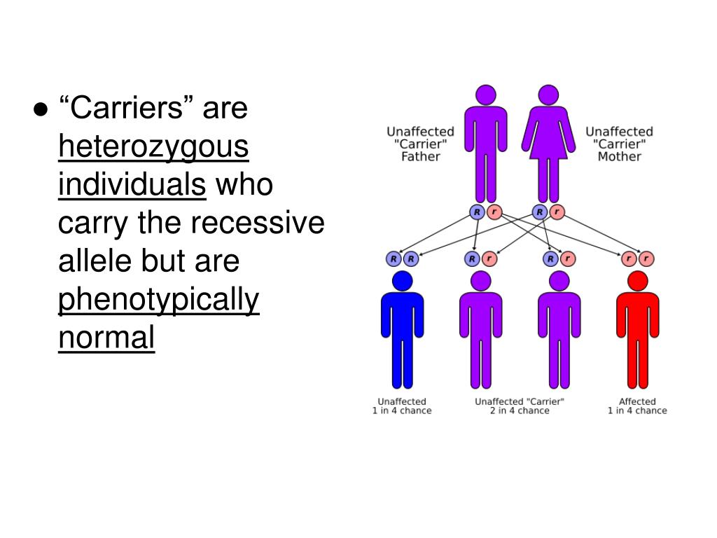 PPT NOTES Ch 14, part 2 â€“ Extending Mendelian PowerPoint