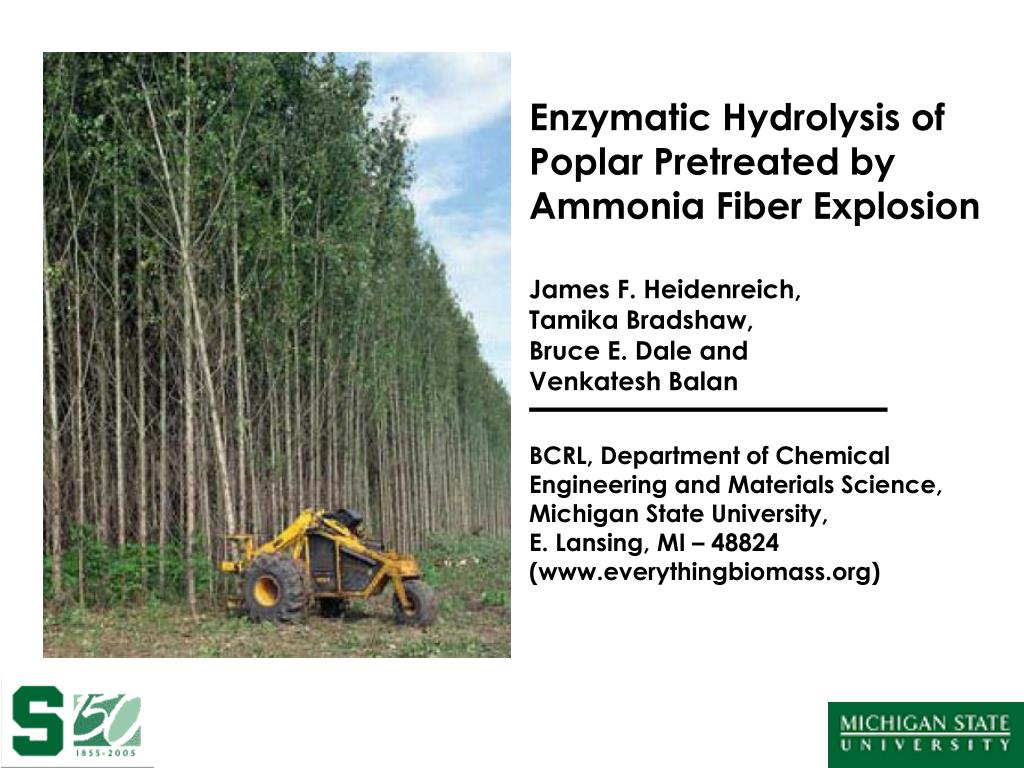 PPT Enzymatic Hydrolysis of Poplar Pretreated by Ammonia Fiber