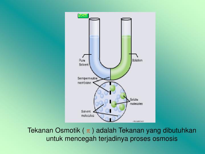 PPT SIFAT KOLIGATIF LARUTAN PowerPoint Presentation ID3966660