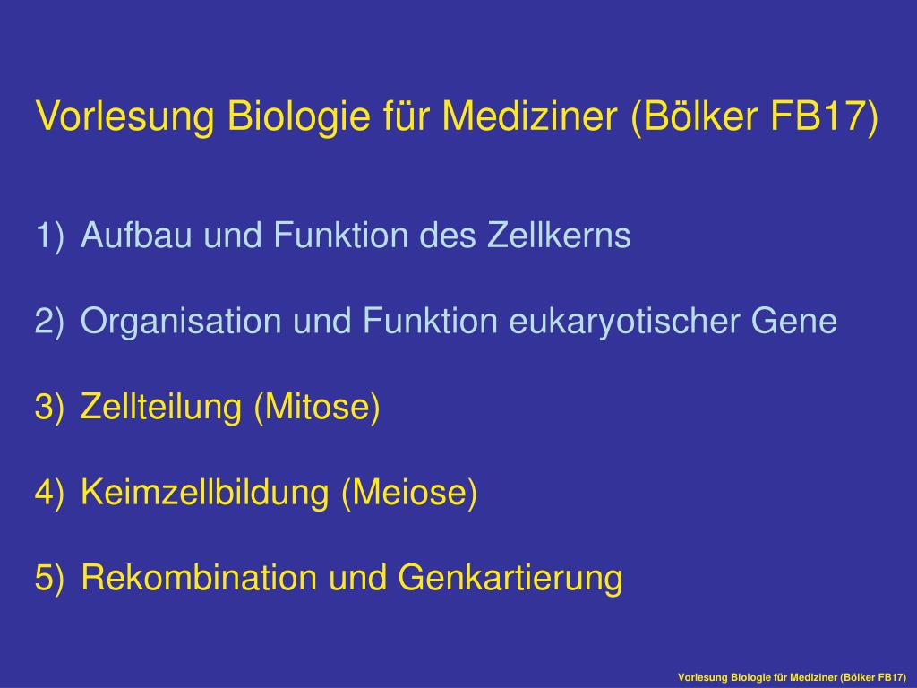 PPT Vorlesung Biologie fÃ¼r Mediziner (BÃ¶lker FB17) Aufbau und