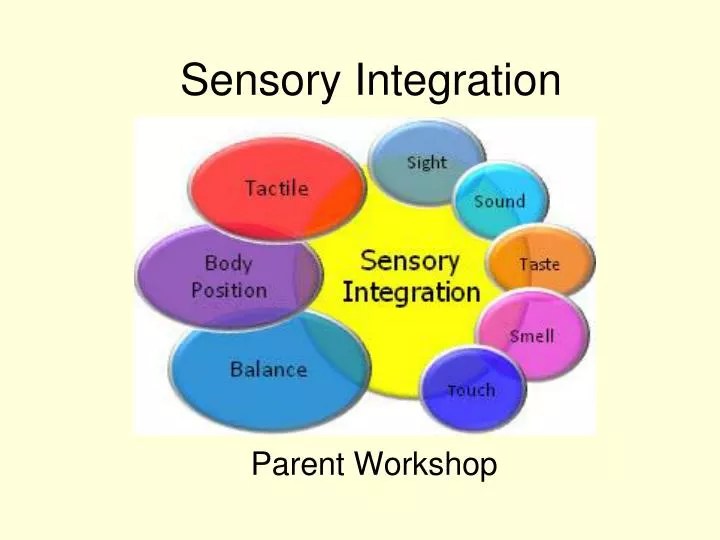 PPT Sensory Integration PowerPoint Presentation, free download ID