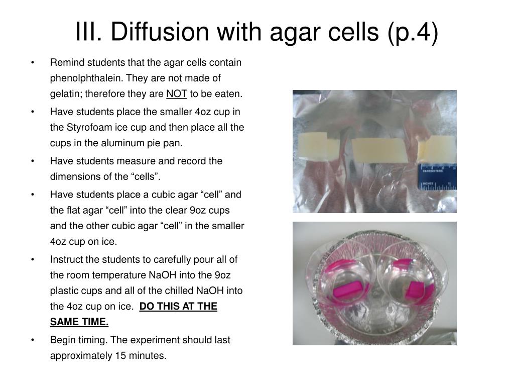 PPT Agar Cell Diffusion PowerPoint Presentation, free download ID