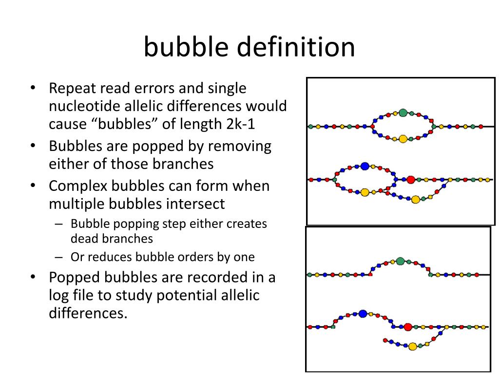 PPT De novo Parallel Assemblers Algorithm discussion PowerPoint