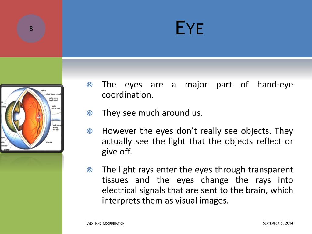 PPT Eye Hand Coordination PowerPoint Presentation, free download ID