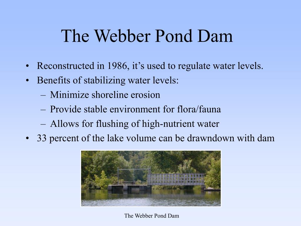 PPT The State of ber Pond PowerPoint Presentation, free download