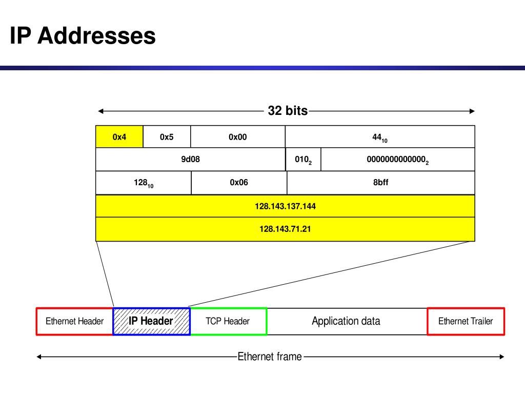 PPT IP Addressing PowerPoint Presentation, free download ID3977513