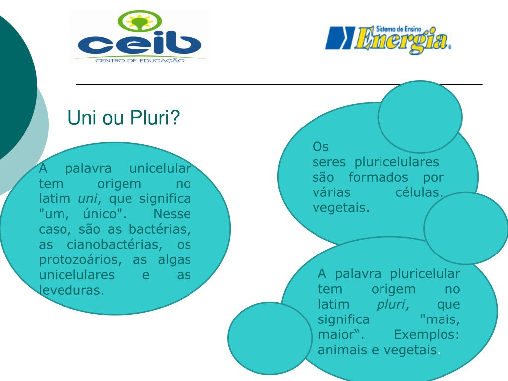 PPT O que sÃ£o cÃ©lulas? PowerPoint Presentation, free
