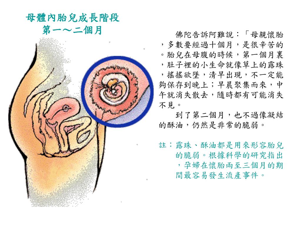 PPT ã€€ã€€æœ‰ä¸€å¤©ï¼Œä½›é™€å¸¶é ˜å¤§çœ¾å¼Ÿå­ ï¼Œä¸€ç›´å¾€å —æ¹è¡Œèµ