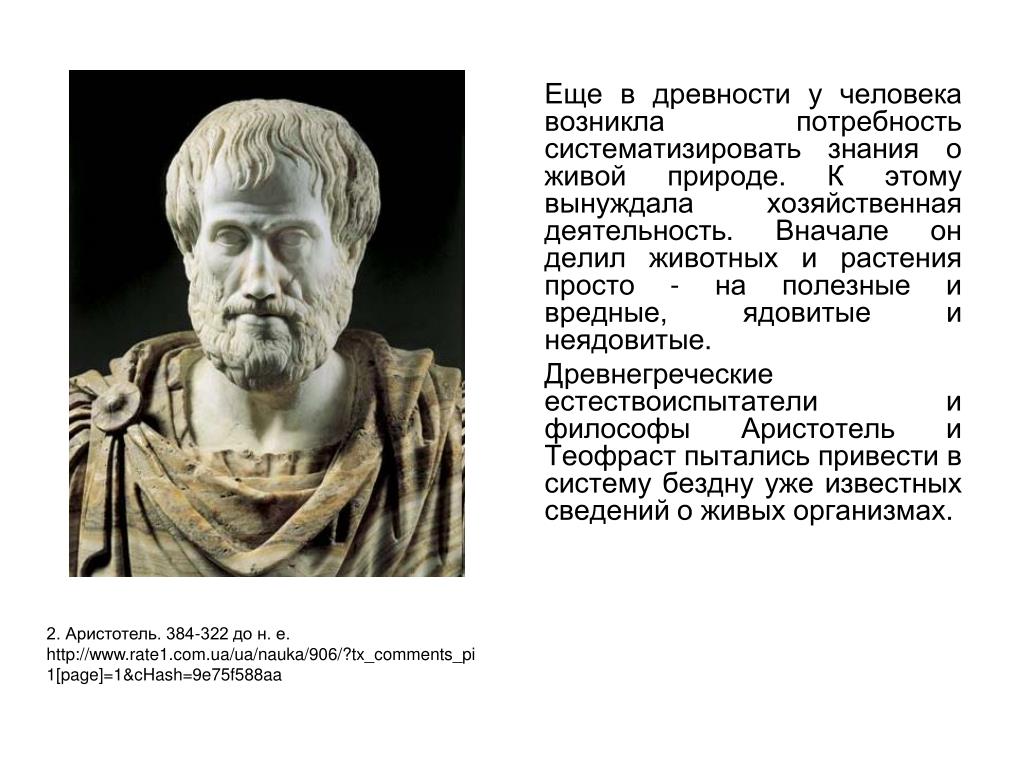 PPT Ð§Ñ‚Ð¾ Ñ‚Ð°ÐºÐ¾Ðµ Ñ Ð¸Ñ Ñ‚ÐµÐ¼Ð°Ñ‚Ð¸ÐºÐ° PowerPoint Presentation