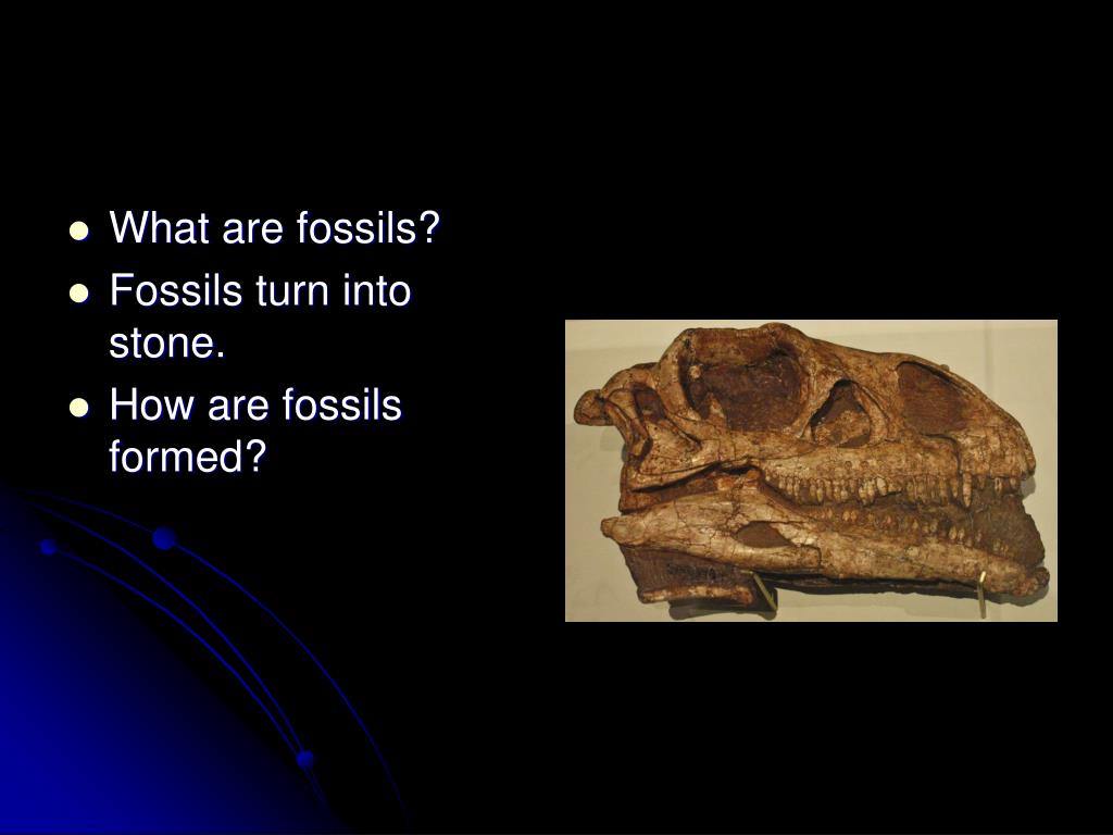 PPT How Fossils Are Formed PowerPoint Presentation, free download ID3985189