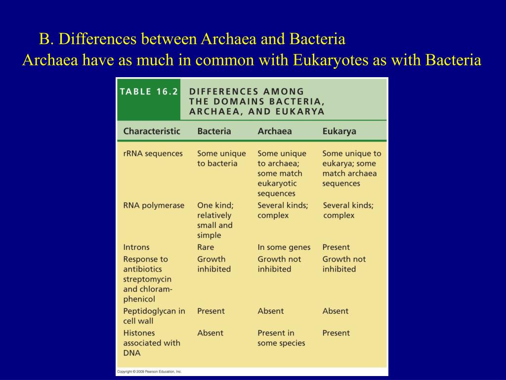 PPT I. Prokaryote Domains Archaea and Bacteria PowerPoint
