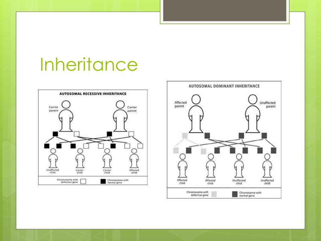 PPT CharcotMarieTooth Disease PowerPoint Presentation