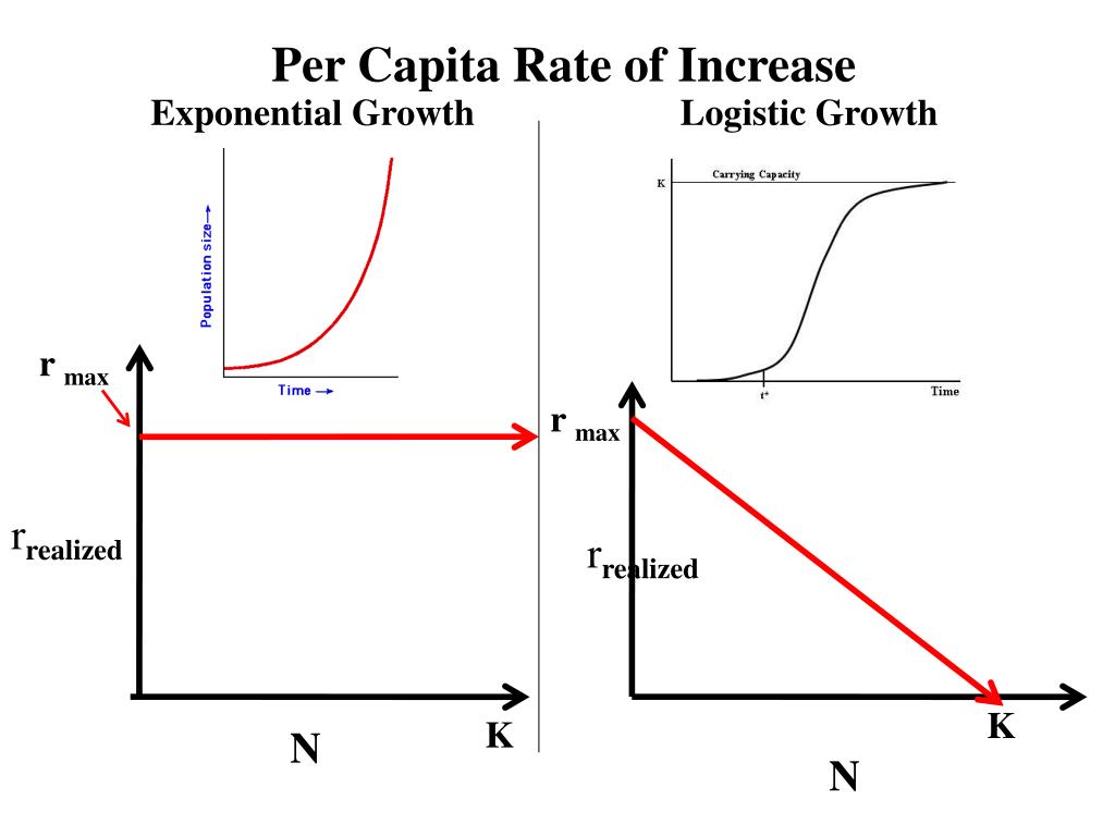 PPT Population Growth Models Geometric and Exponential Growth PowerPoint Presentation ID