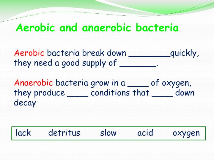 PPT It’s a green world PowerPoint Presentation ID3997764