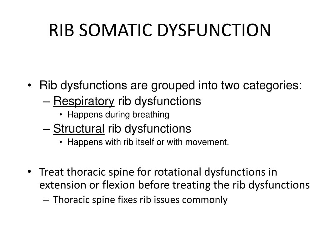 PPT Musculoskeletal Considerations of the Rib Cage PowerPoint