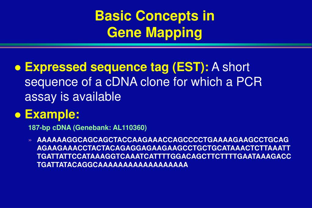 PPT Major Components of a Gene PowerPoint Presentation, free download