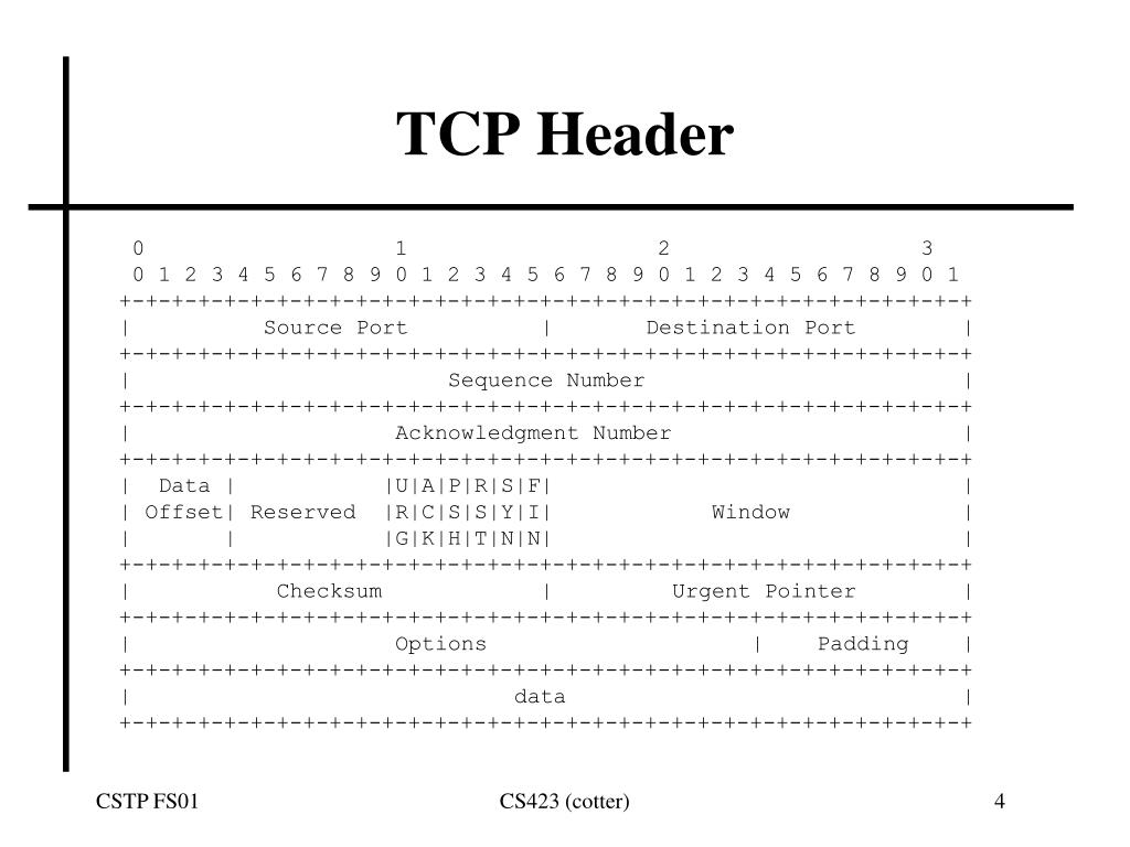 PPT Protocols 2 PowerPoint Presentation, free download ID4007960