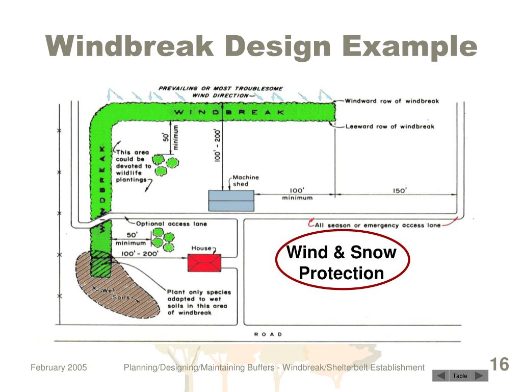 PPT “Windbreak/Shelterbelt Establishment” NEDC Conservation Buffers