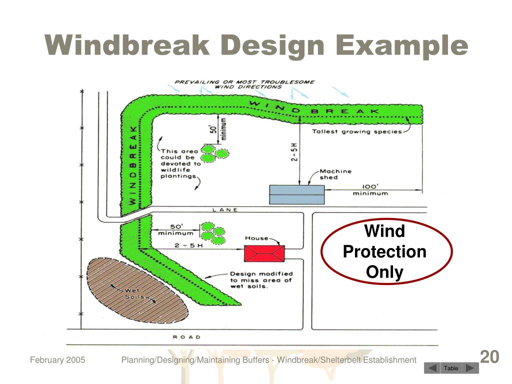 PPT “Windbreak/Shelterbelt Establishment” NEDC Conservation Buffers
